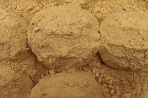 생활의 달인 ‘콩크림빵’ 먹으러 광주까지? ‘택배 주문 가능’