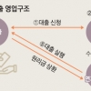 P2P 대출업체 9곳 중 1곳 사기·횡령… 20곳 수사 의뢰