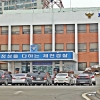 경찰, 마이크로닷 부모 인터폴에 수배요청