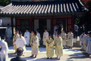 문중의 힘, 한국 정치마저 지배했다