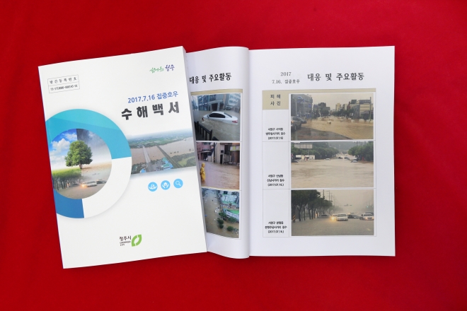 수해 백서