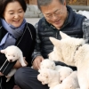 北에서 온 풍산개 가족 돌보는 文대통령 부부