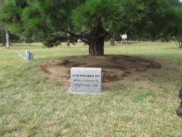 고 노무현 전 대통령이 2007년 방북 당시 김영남 북한 최고인민회의 상임위원장과 함께 심은 소나무 앞으로 “하나 된 민족의 염원을 담아”라고 쓰인 표석이 세워져 있다.  오승록 노원구청장 제공