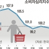 기업전망·소비심리 탄핵정국 수준 후퇴