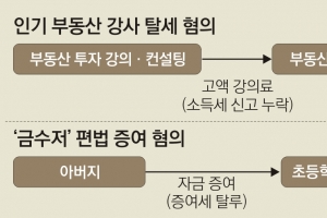 부동산 강사가 400여채 취득…집값농단·탈세했나