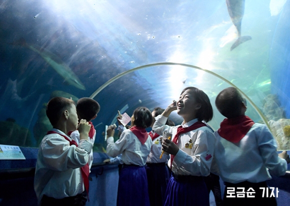 어딜 가나 아이들의 천진난만함은 똑같다. 북한의 국제 청소년 캠핑시설인 강원도 원산의 송도원국제소년단야영소에서 어린이들이 수족관 속 물고기들의 움직임에 감탄하고 있다.