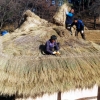 집도 겨울옷 입고