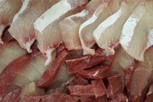 더 단단하게 더 쫄깃하게… 돌아온 ‘몸짱’ 모슬포 ‘맛짱’