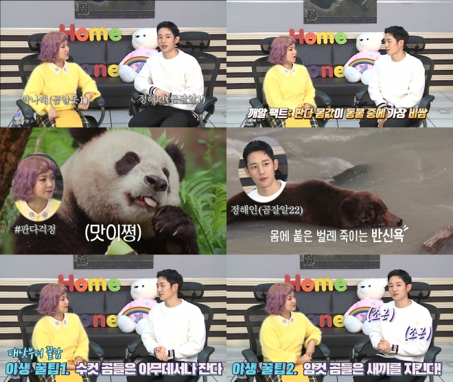 ‘곰’ 박나래 정해인