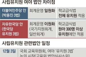 사립유치원 오늘 운명의 날… 한유총은 ‘집단폐원’ 싸고 내분