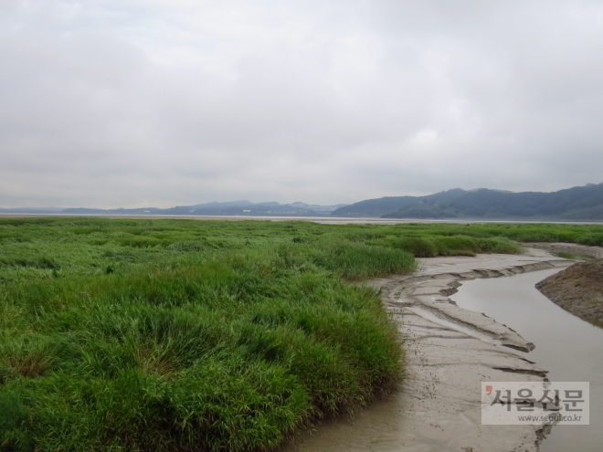 김포 시암리 습지 일대 모습. 김포시 제공