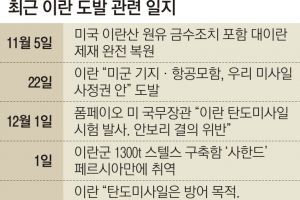 [월드 Zoom in] 이란이 美 제재에 맞서는 자세… 미사일·스텔스함·암살