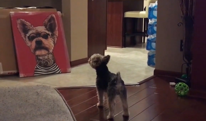 자신과 비슷한 개 초상화를 보고 짖어대는 강아지 모습(유튜브 영상 캡처)