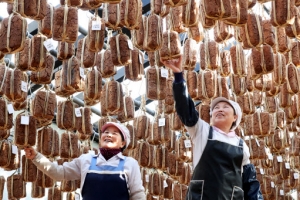 엄마손 장맛 기대하세요