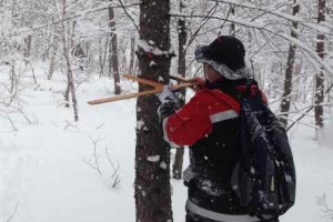 어느 산림공무원의 눈물 “성실히 직무를 수행했을뿐인데…”