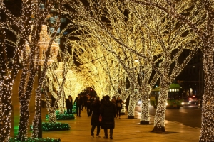 ‘함께하면’ 더 빛나는 겨울나무 터널