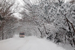 세 번째 시도… “제주 5·16도로 이름 바꾸려합니다”