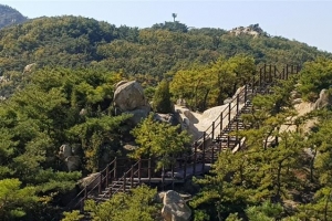 관악산 안전사고 막아라… 등산로 정비 끝낸 관악