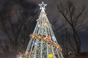 소원을 말해봐~ 마로니에 트리의 초대