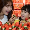 [서울포토] ‘킹스베리 딸기’ 맛보세요~