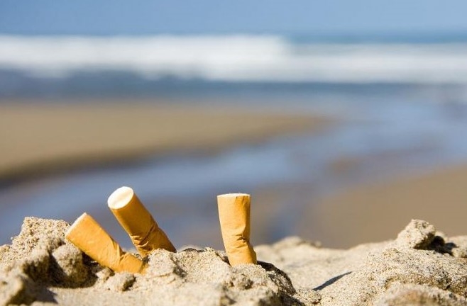 독일 해변에 버려진 담배 꽁초  데일리 뉴스 독일 홈페이지 캡처  