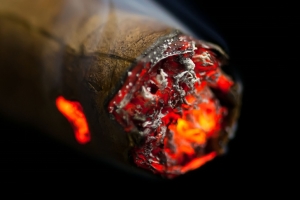 아파트 복도에 버린 담배꽁초 화재…100여명 대피소동