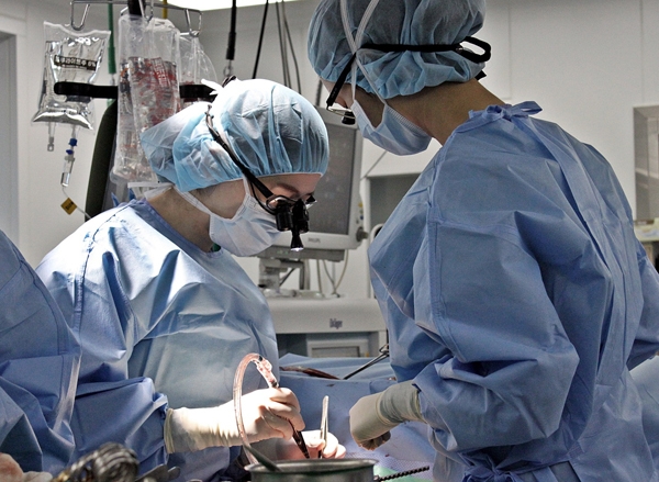 신유림 심장혈관외과 교수의 수술 모습. 세브란스병원 제공
