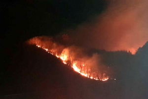 삼척 미로면 산불 13시간 만에 진화