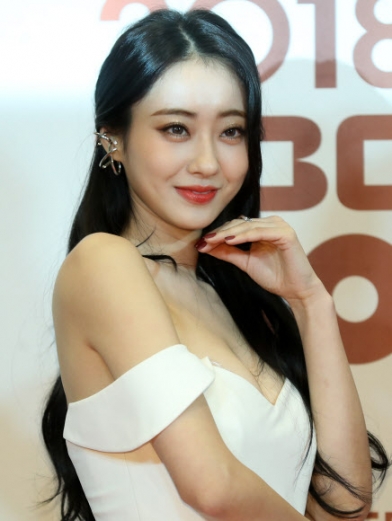 가수 경리가 29일 서울 마포구 상암동 MBC 미디어센터에서 열린 2018 MBC 방송연예대상 레드카펫에서 포즈를 취하고 있다. 2018.12.29<br>연합뉴스