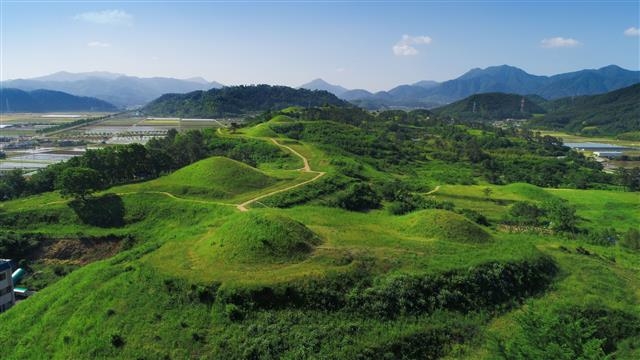 가야고분군 세계유산 등재 추진단이 경북 고령으로 옮겨 새해부터 업무에 들어간다. 사진은 경남 함안 말이산 고분군. 서울신문 DB