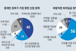 “정부, 규제 풀고 핵심산업 키우고… 기업, 新사업 찾고 채용 늘려라”