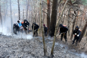 양양산불 20시간 만에 진화 완료…20㏊ 산림 잿더미