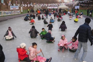 강남 벼농사 학습장이 썰매장 됐네
