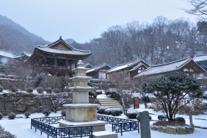 경북 우수 축제·관광지…대한민국 대표 관광명소로 인정