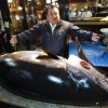 참다랑어 한마리 35억원에 경매, 일본 ‘참치왕’ 기무라 또 경신