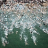해운대 북극곰 축제 참가 4000여명 겨울 바다 ‘풍덩’