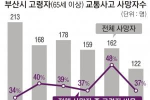 부산, 고령자 교통사고 사망 42% 뚝