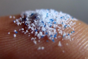 미세플라스틱 독성 이 정도일줄이야...태아 신경계 교란 가능성 커