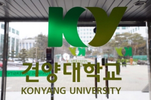 캄보디아 봉사활동 대학생 2명 숨져…사고수습팀 급파