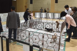 노원 “반려견 맡기고 편히 고향 다녀오세요”