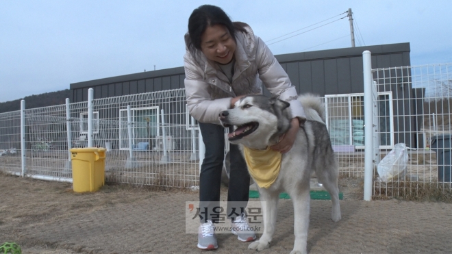 헌혈견 곤이와 시간을 보내고 있는 강부성 한국헌혈견협회 대표