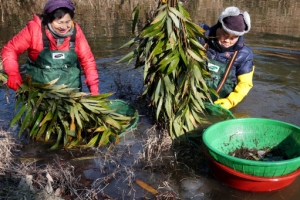 토하 풍년에 활짝