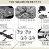 과학·예술이 만나 고생물 움직임 비밀 풀었다