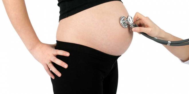 ETH 연구진이 임신중독증의 원인과 치료방법의 단초를 찾아내 주목받고 있다. ETH 제공