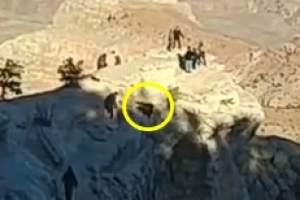 그랜드캐년 추락 사고 “25살이면 상폐” 워마드 조롱글 논란