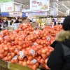 [서울포토] 양파 가격 하락 지속… 전년 대비 26.7% ↓