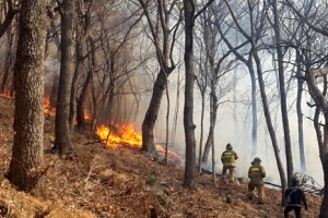기장 산불 “쓰레기 태우다 번진 듯”…진화 어려움