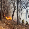 기장 산불 “쓰레기 태우다 번진 듯”…진화 어려움
