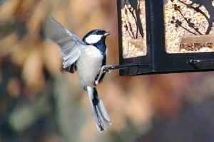 군포시, 초막골생태공원 생태체험 프로그램 연중 운영