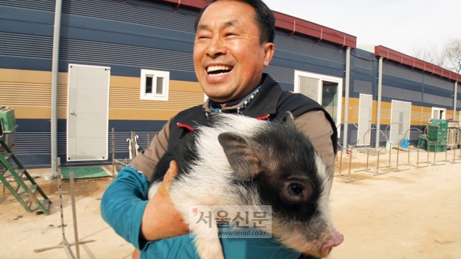 지난달 31일 경기도 포천시 가산면에 있는 코리아경찰견훈련소에 최승열 소장이 돼지 옥자를 안고 환하게 웃고 있다.